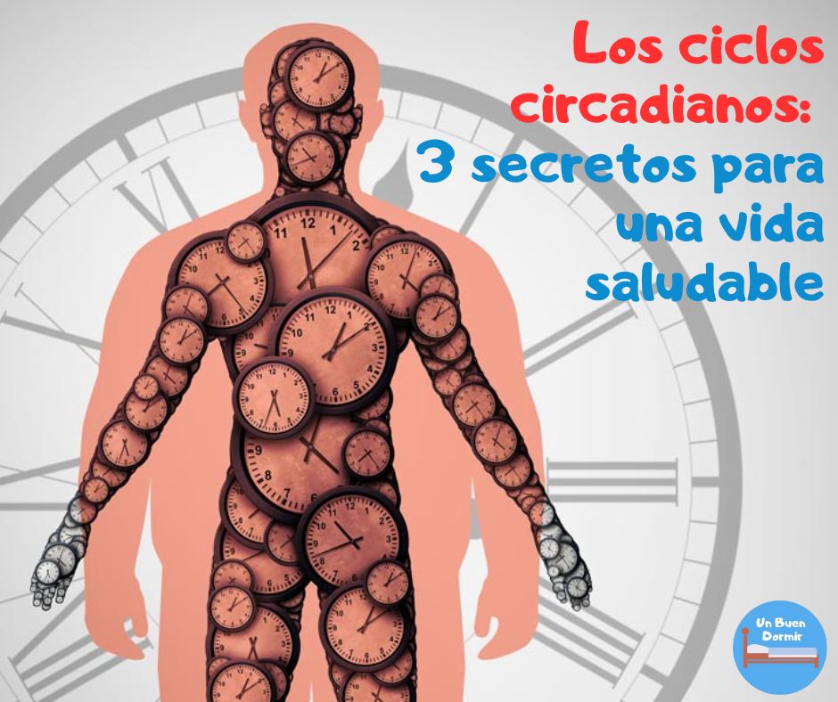 ciclos circadianos 3 secretos para una vida saludable